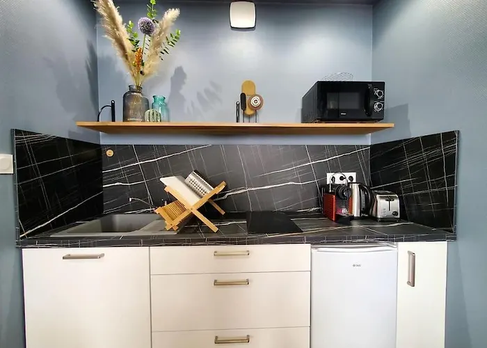 Saint Jean - La Riviere- T2 Neuf Niort